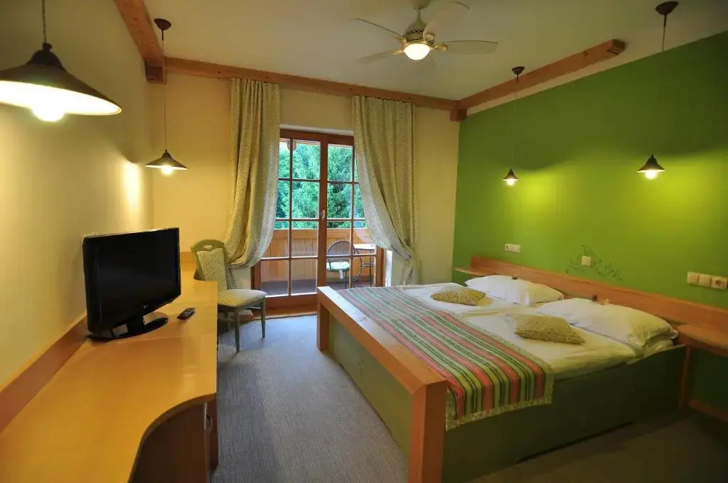 Premium Double room (full double bed)