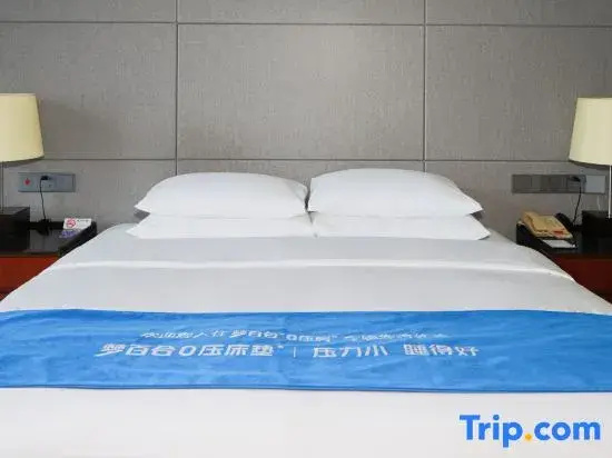 Grand Metropark Hotel Chongqing - Chambres