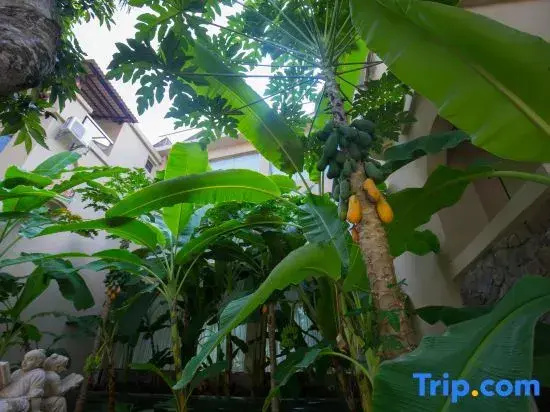 Xishuangbanna Lanzhu Villa Hotel - Général