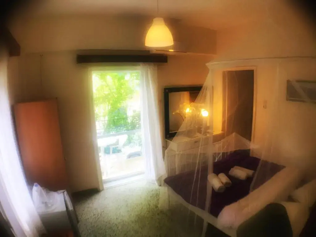 Standard Double room with balcony (full double bed)