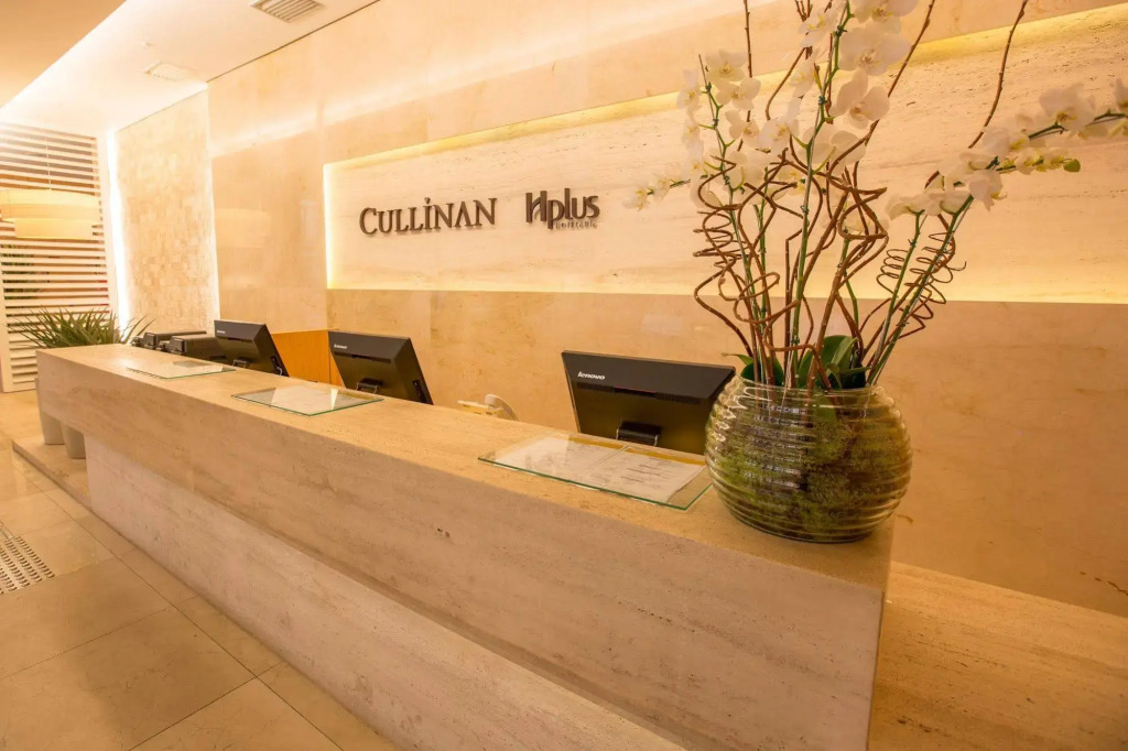 Cullinan Hplus Premium — фото 2