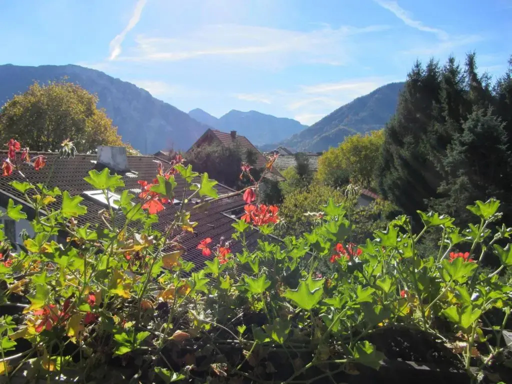 Pension Bergblick - Chambres