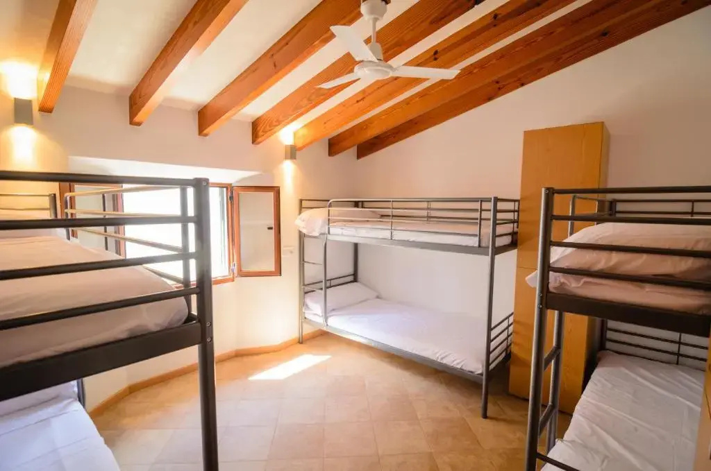Bed in Dorm