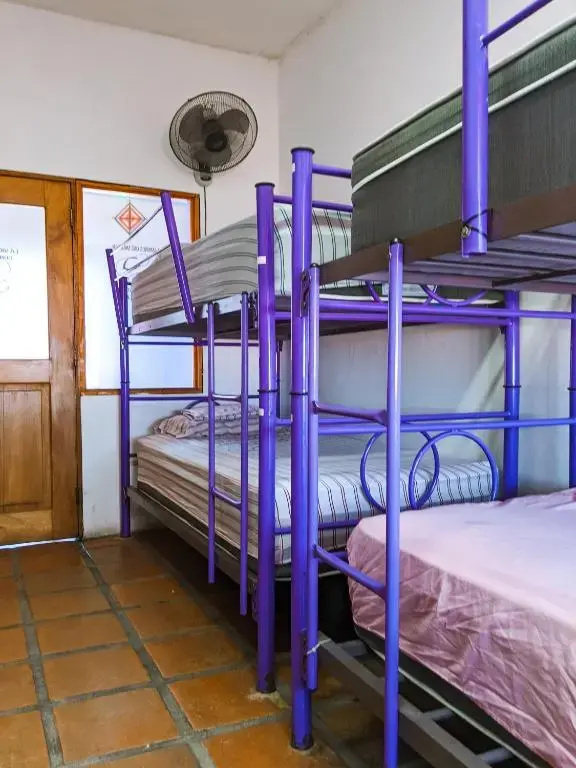 Bed in Dorm