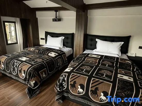Standard room with view