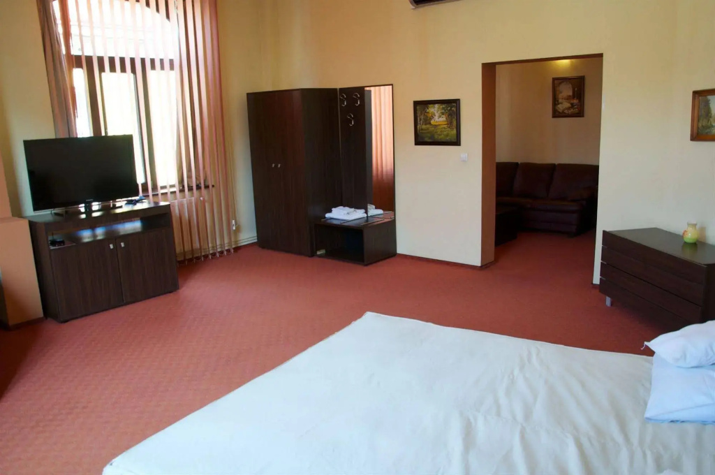 Victoria Hotel Timisoara - Général