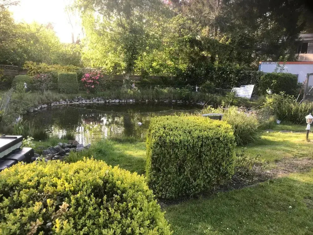 Image 13