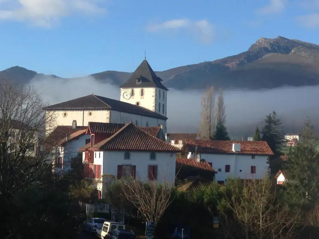 Standard Double room with mountain view (full double bed)