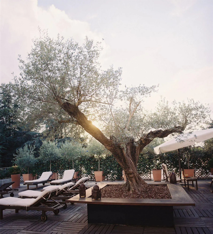 Hotel Terme - Général