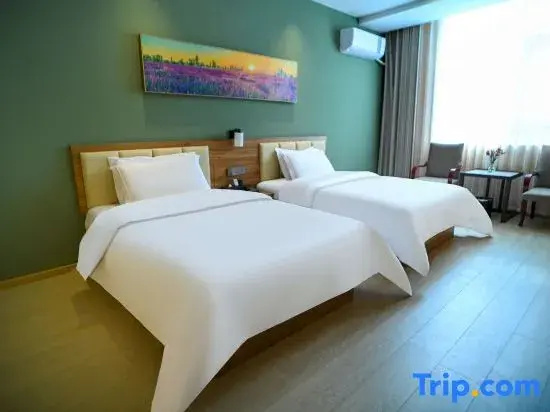 Standard Double room (twin beds)