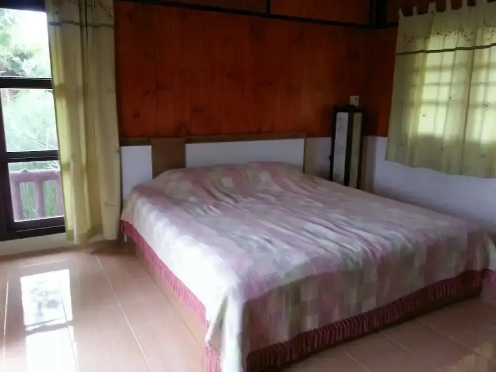 Standard room with balcony and with mountain view