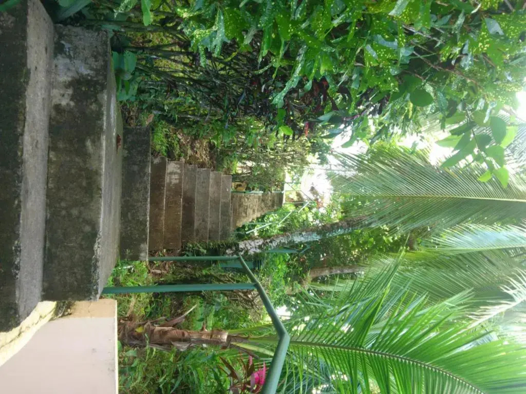 Bungalow