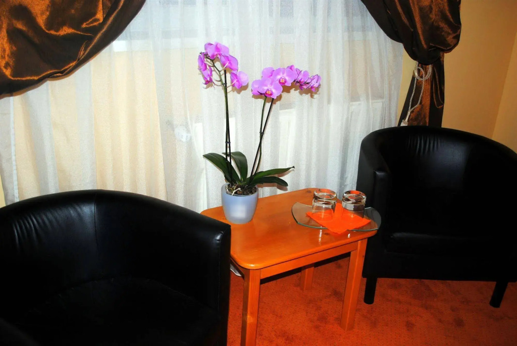 Hotel Vandia - фото 7