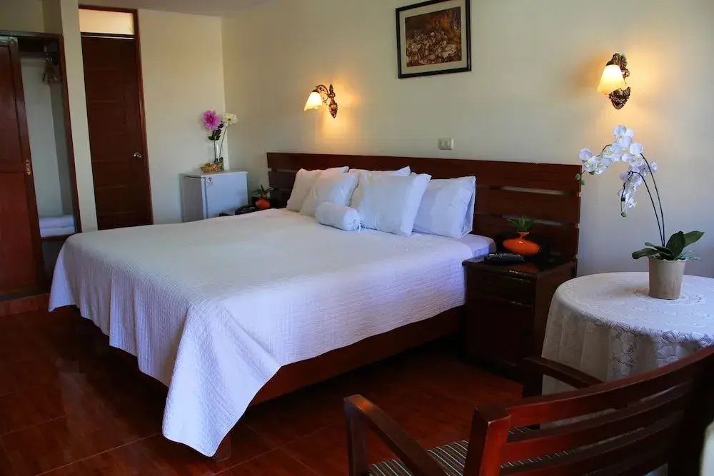Hotel Villa de Valverde - Général