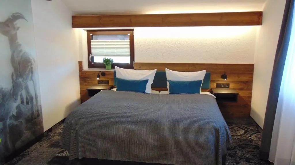 Standard Double room (full double bed)