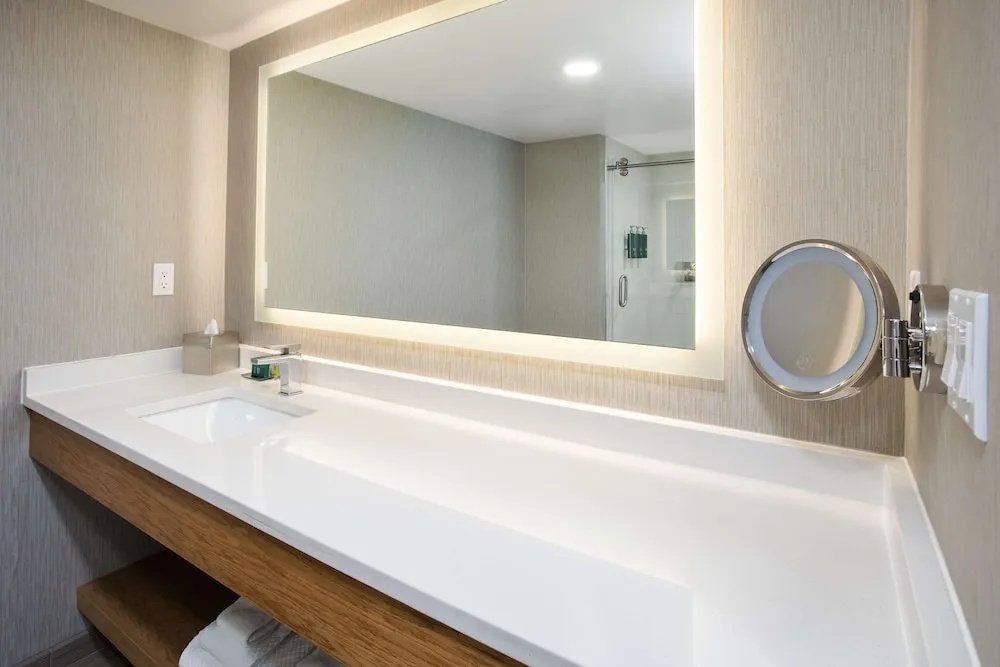 1 Bedroom Suite