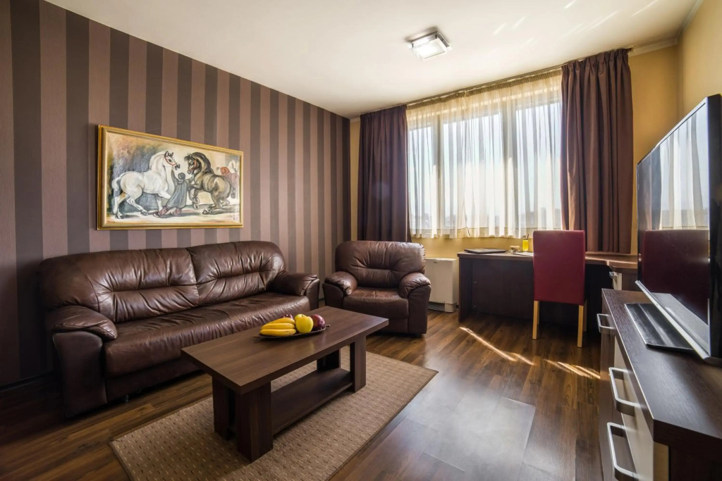 Business Hotel Plovdiv - Général