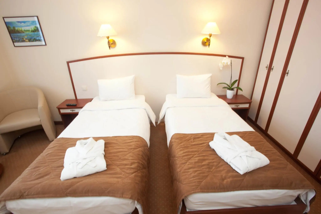 Standard Double room (twin beds)