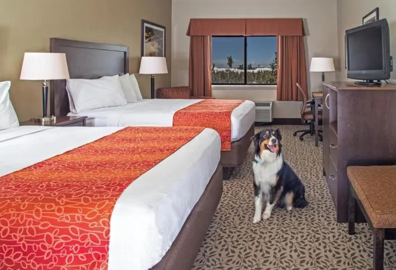 Gray Wolf Inn & Suites - Chambres