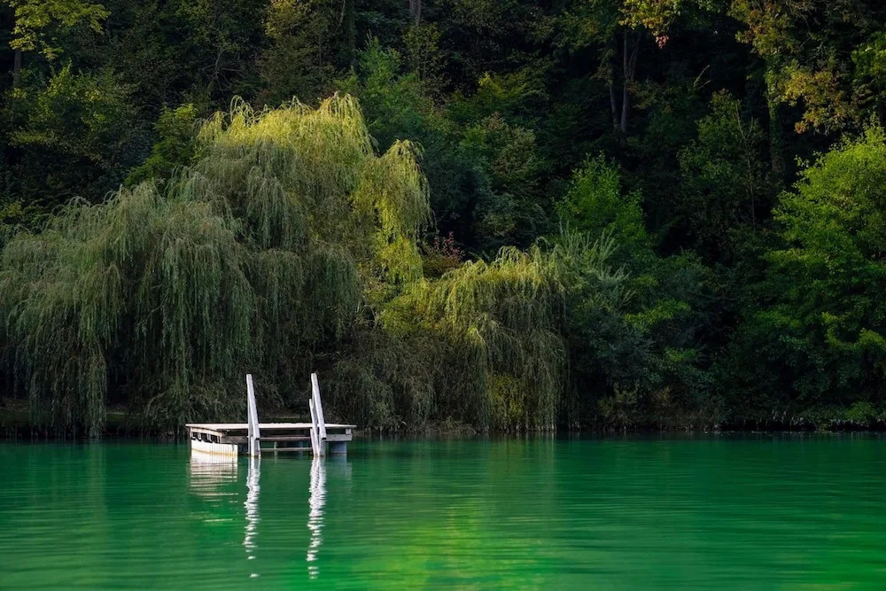 Burgblick - Général