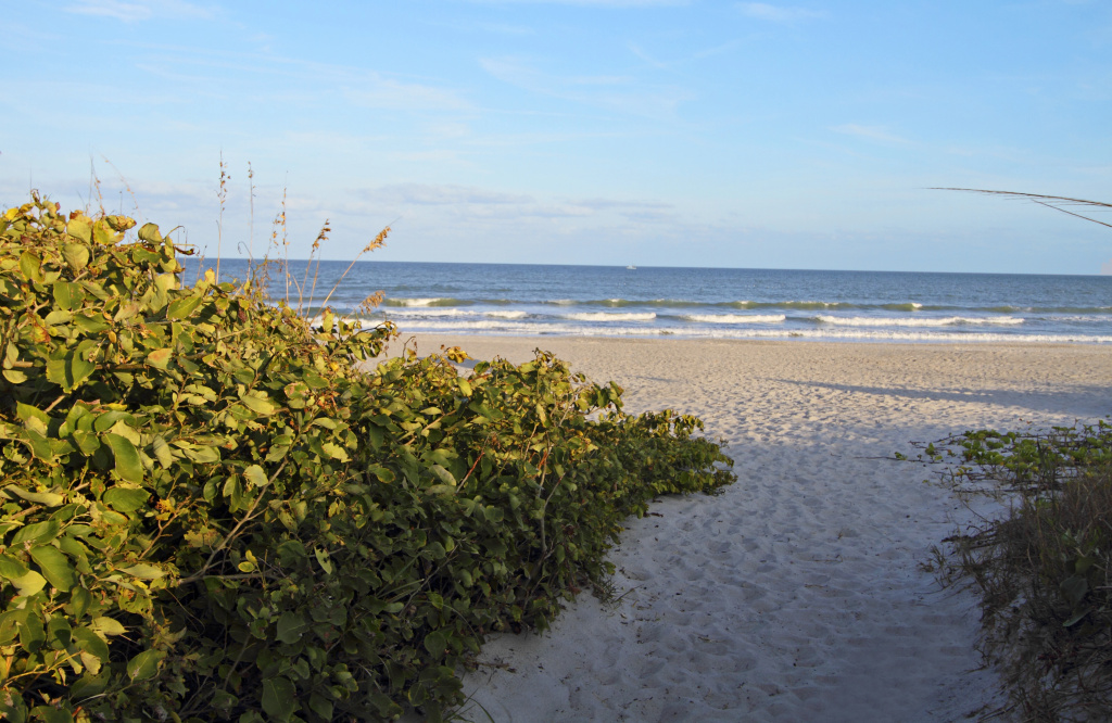 Beach & Waterfront