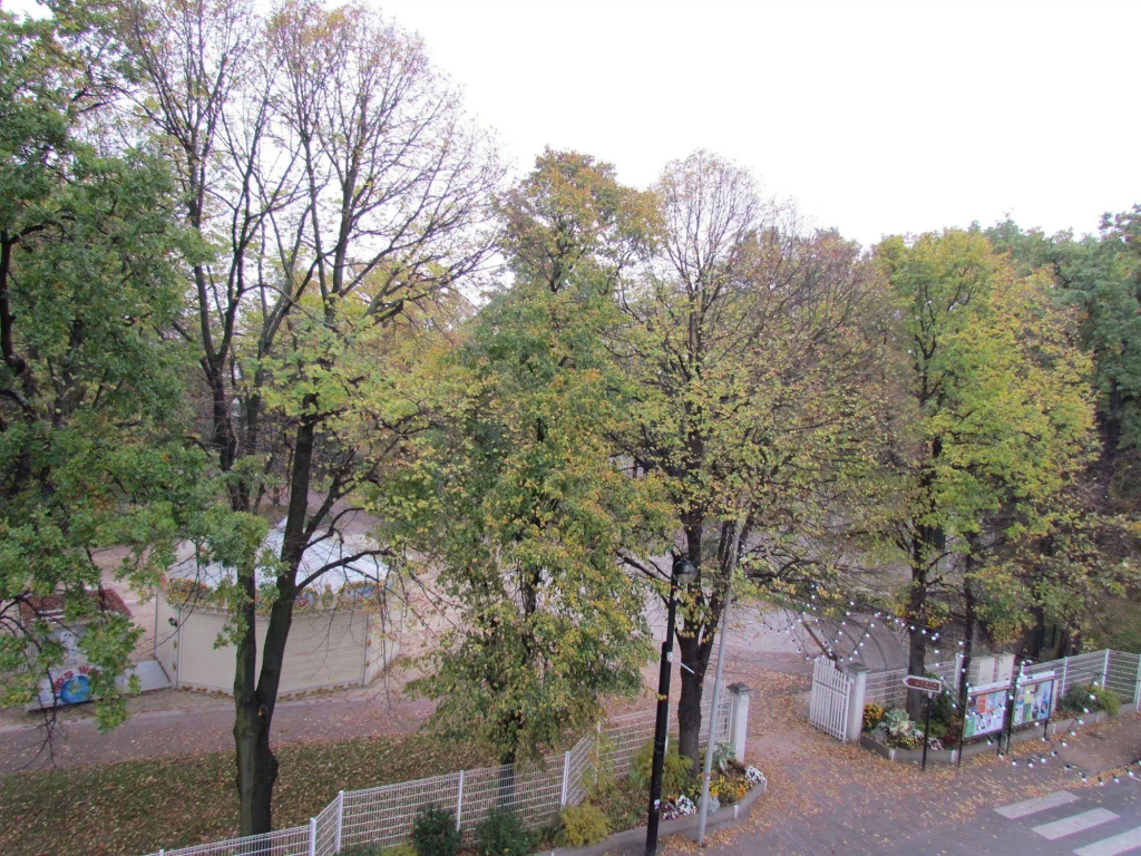 Hôtel du Parc - Général