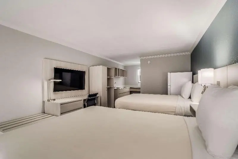 Quadruple Suite