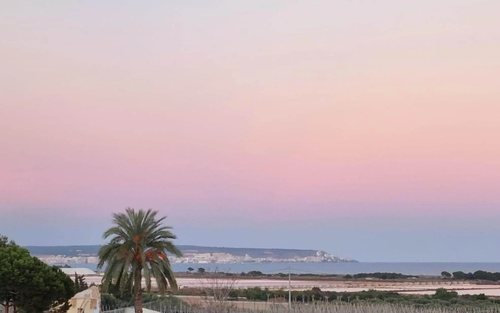 Apartment ODYSSEY La Marina ALICANTE