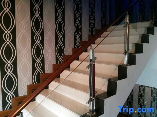 Balcony & Terrace