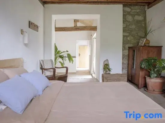 Standard Double room with mountain view (full double bed)