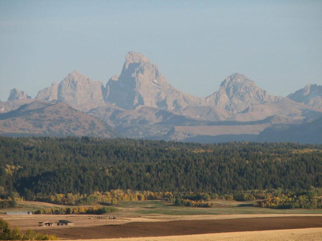 Image 12
