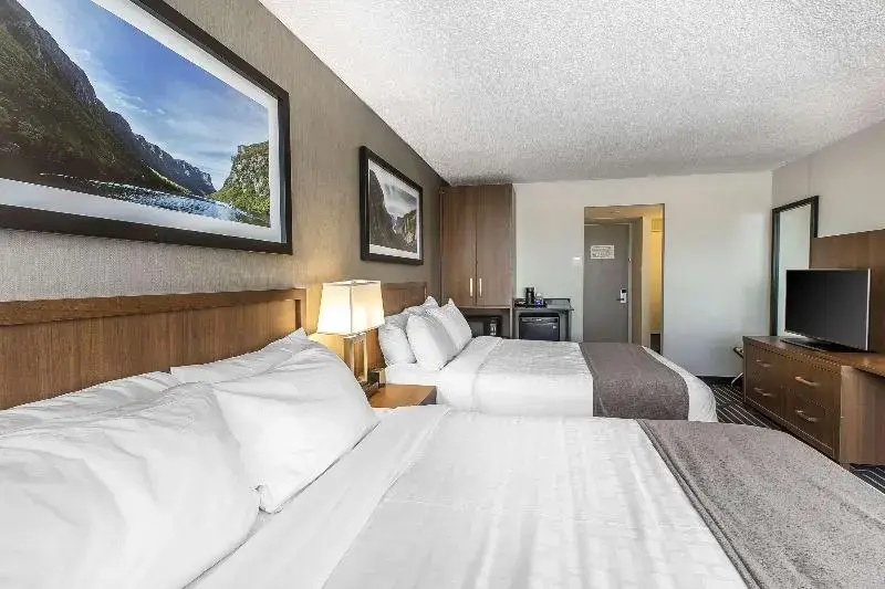 Quality Inn Corner Brook - Chambres