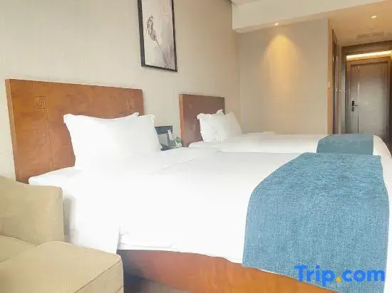 Premium Double room (twin beds)