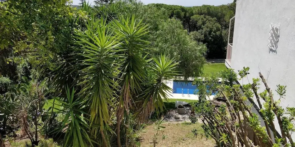 Casa Mas Garba - Général