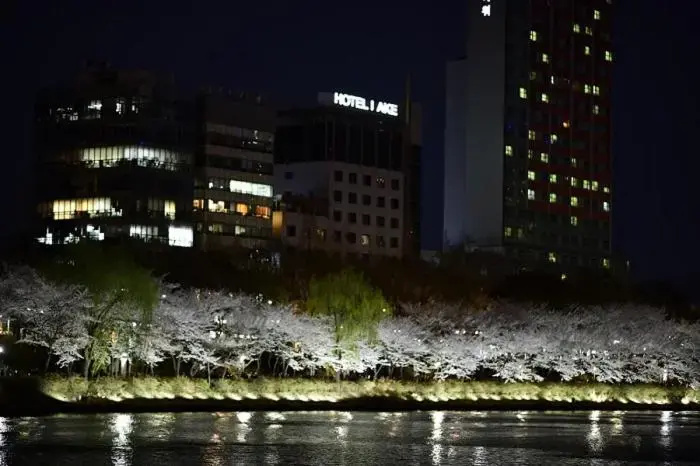 Hotel Lake - Chambres