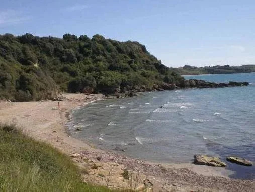 Beach & Waterfront