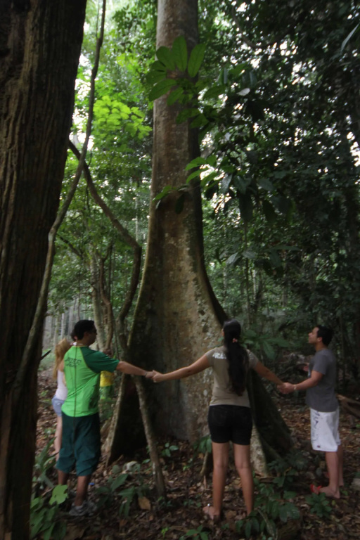 Amazonia Golf Resort - Général
