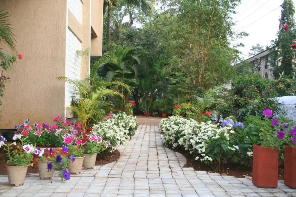 Ferreira Resort - Général