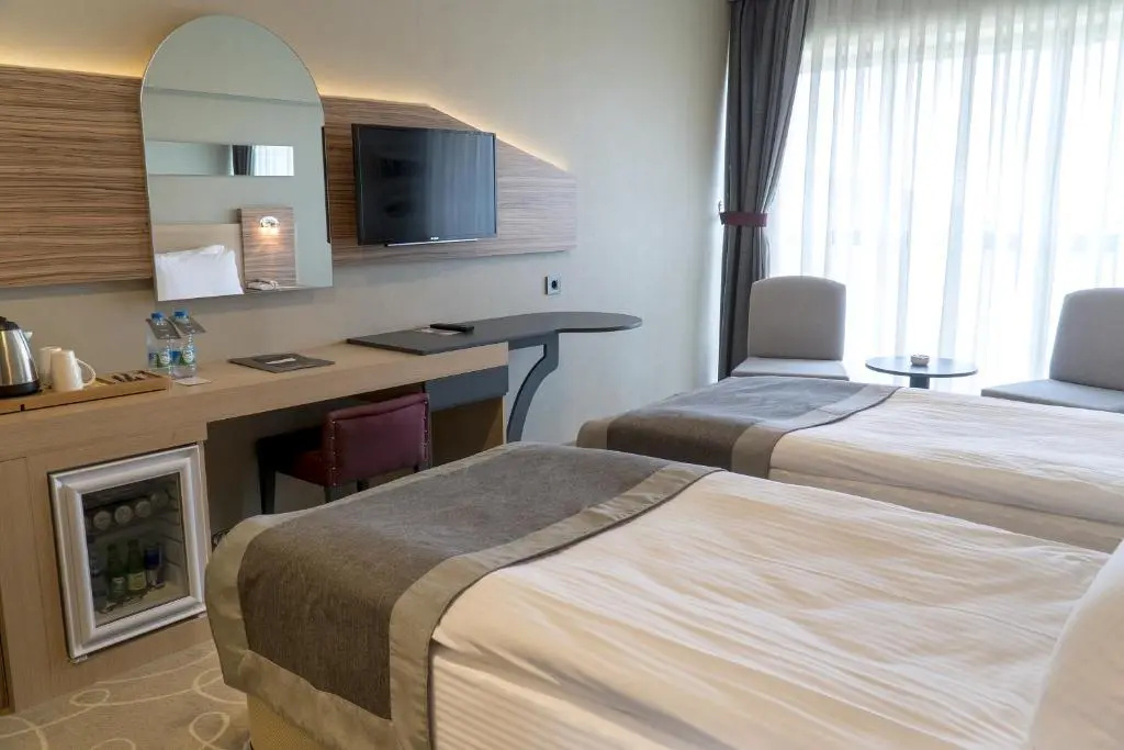 Standard Double room (twin beds)
