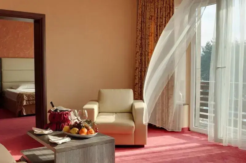 Spa Hotel Dvoretsa - Chambres
