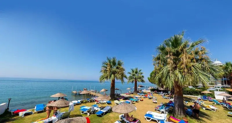 Beach & Waterfront