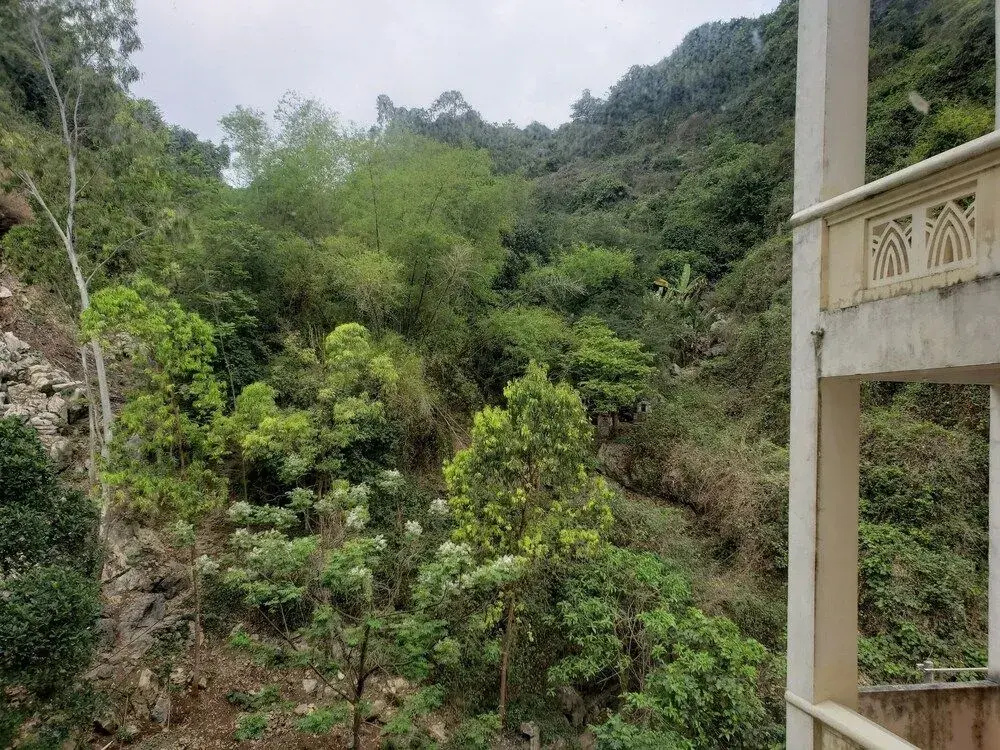 Cat Ba Plaza Hotel - Général