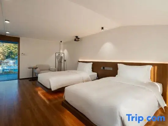 Standard Double room (twin beds)
