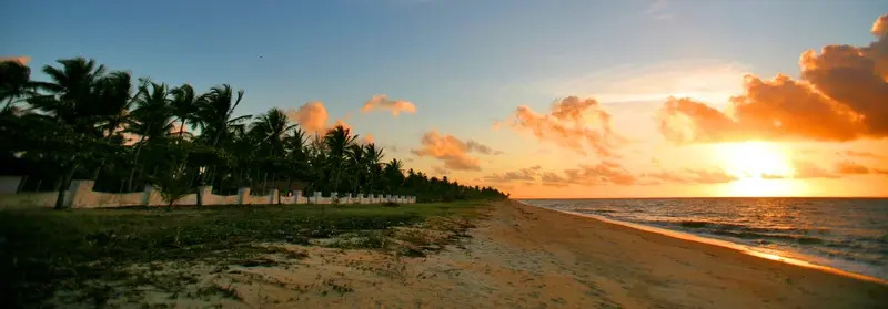 Beach & Waterfront