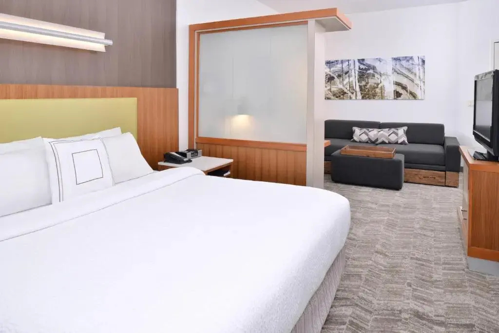 SpringHill Suites by Marriott Ashburn Dulles North - Chambres