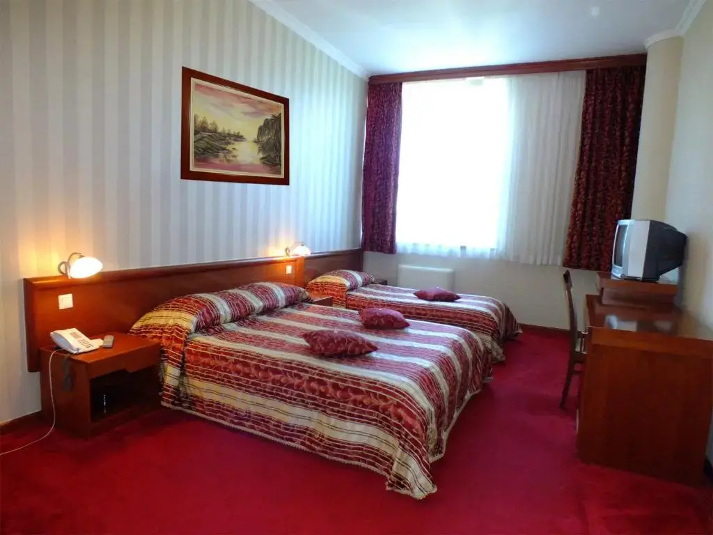 Standard Double room (twin beds)