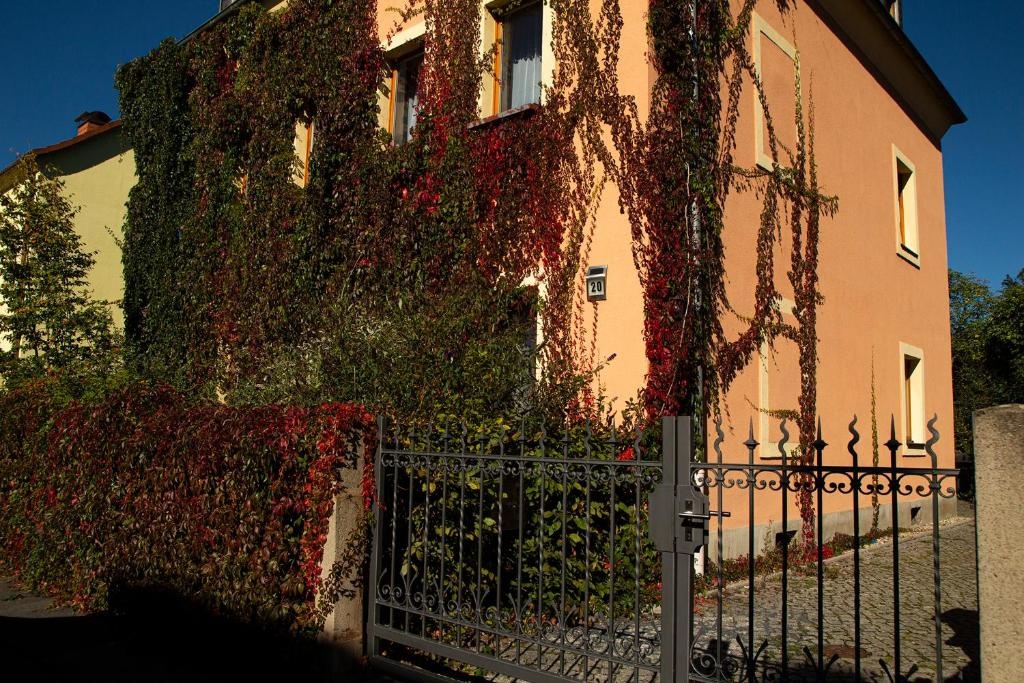 Frank´S Ferienwohnung in Dresden
