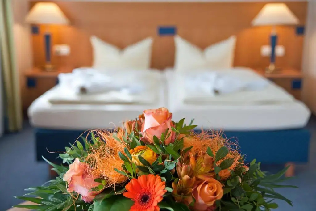 Comfort Double room (full double bed)
