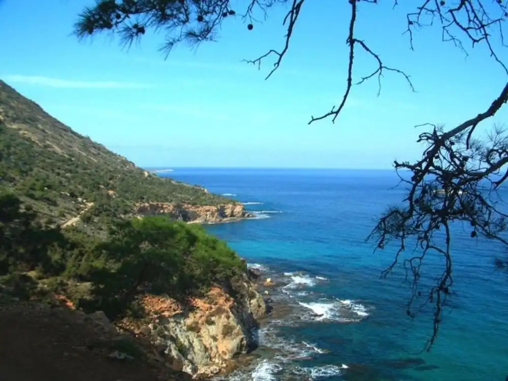 Villa for Rent in Protaras 1309
