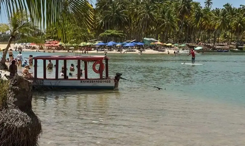 Beach & Waterfront